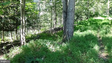 0 Veterans Way unit PAPY2008088, Elliottsburg, PA 17024 - photo 4