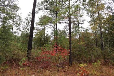 0 Poll Mill Rd, Tazewell, GA 31803 - photo 3