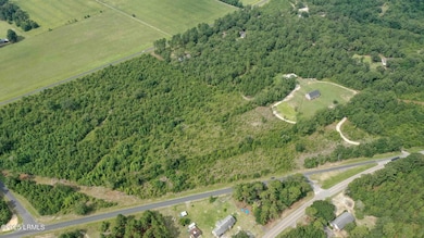 Tbd Mulberry Rd, Barnwell, SC 29812 - photo 4