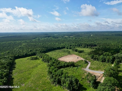 DJI_0113