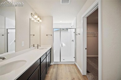 11863 Lost Peak Ln, Colorado Springs, CO 80925 - photo 5