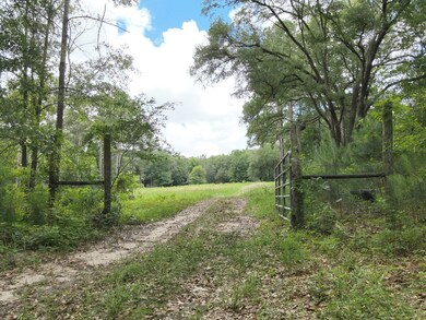 tbd County Line Rd, Pelham, GA 31779 - photo 5