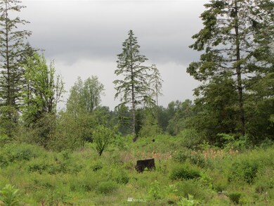 0 XXXX Loomis Trail Rd, Blaine, WA 98230 - photo 6