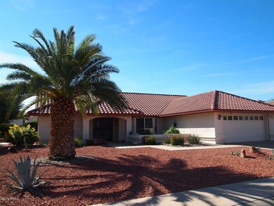 Front landscaping with Pineapple palm