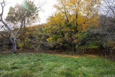 8 Cr 663, Oak Grove, AR 72660 - photo 3