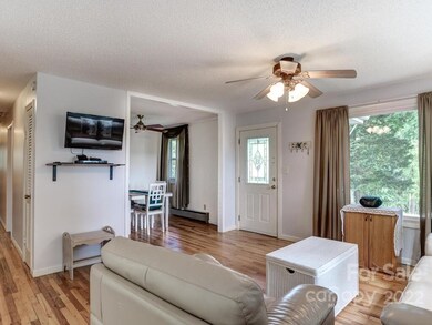 1076 Bear Creek Rd, Leicester, NC 28748 - photo 7