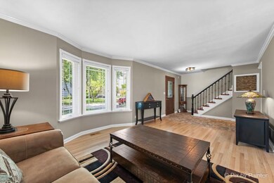 987 Split Rail Dr, Carol Stream, IL 60188 - photo 3