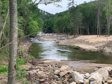 42.16 ACS Green River Cove Rd unit 42.162 AC., Saluda, NC 28726 - photo 7