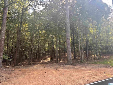 LOT 2 Morton Rd unit 2, Warrior, AL 35180 - photo 2