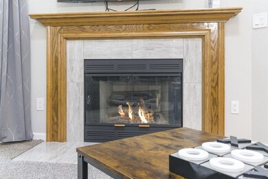 Electric Fire Place