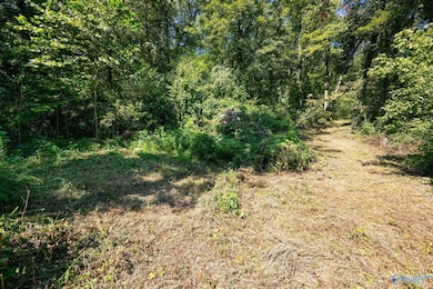 6.5 Acres Rock Spring Rd, Owens Cross Roads, AL 35763 - photo 3