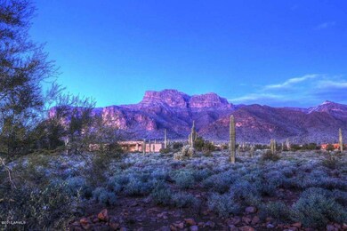 Night-Backyard View2