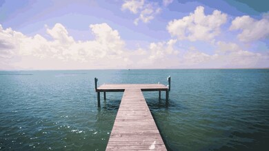 1 Largo, Hitchcock, TX 77563 - photo 6