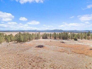 26867 Stage unit Road, Hot Springs, SD 57747 - photo 4