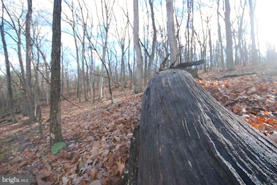 Lot 70 & 71 Mill Mountain Rd, Romney, WV 26757 - photo 7