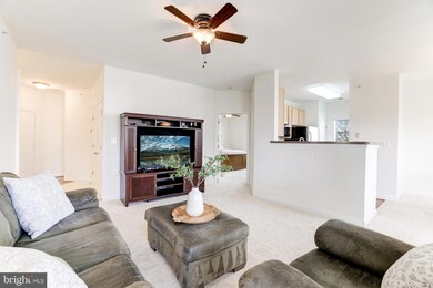 42446 Mayflower Terrace unit 303, Ashburn, VA 20148 - photo 4