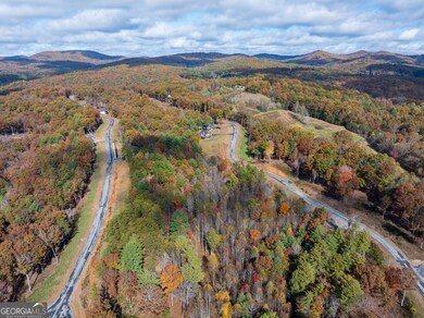 0 Ridge Rd, Morganton, GA 30560 - photo 5