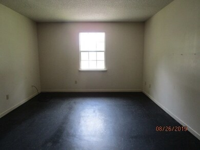 515 Lee Williams Dr NW, Pelham, GA 31779 - photo 6