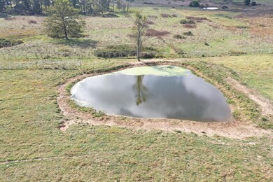 DJI_0369 (1)