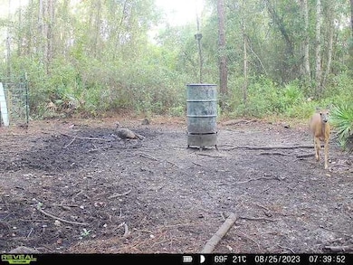 0 County Line Rd unit 18882882, Lee, FL 32059 - photo 3