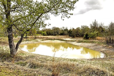 9851 S Fm 730, Boyd, TX 76023 - photo 3