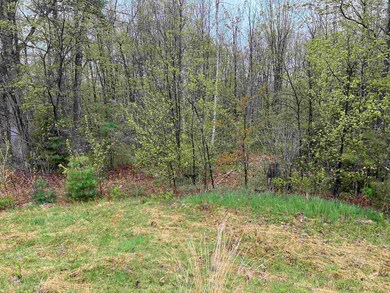 Map 202 Lot 1 New Hampshire 25, Center Ossipee, NH 03814 - photo 3