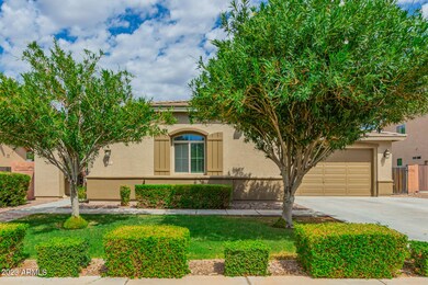 556 W Sweet Shrub Ave, San Tan Valley, AZ 85140 - photo 2