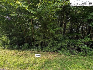 Lot 5 Briarwood Ln, Sparta, NC 28675 - photo 4