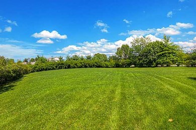 Yard/Garden.
