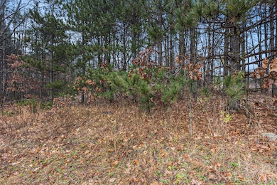 8190 Scots Pine Cir unit 12, Kalamazoo, MI 49009 - photo 7