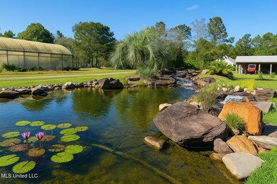 119 Ceasar Rd, Picayune, MS 39466 - photo 4