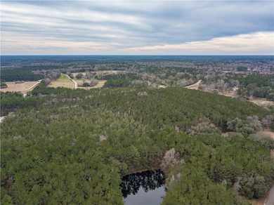 0 Louisiana 21, Bush, LA 70431 - photo 3