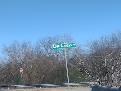 250 Lower Boundary Street at Eisenhower Pkwy, Macon, GA 31206 - photo 3