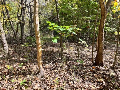 0 Welden Cir unit 1259470, Bella Vista, AR 72715 - photo 4