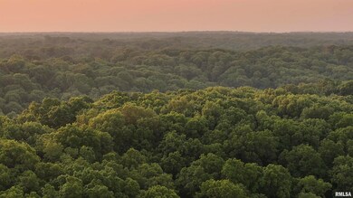 000 N Tarters Ferry Ln, Smithfield, IL 61477 - photo 5