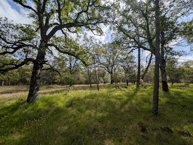 14677 Begonia Way, Oregon House, CA 95962 - photo 5
