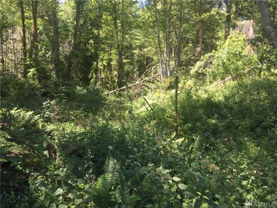 0 Lalka Ln unit 1149793, Langley, WA 98260 - photo 4