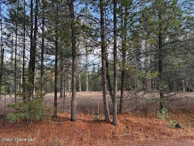 171 (temp) Bear Rd, Priest River, ID 83856 - photo 5