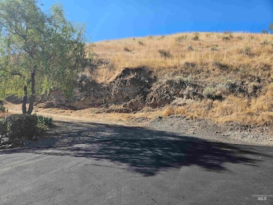 TBD Garfield St, Asotin, WA 99402 - photo 2