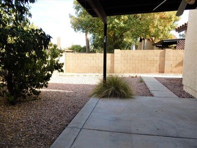 023-228720 - Backyard 3