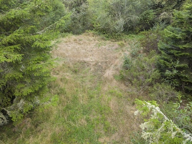 000 Williams Creek Rd, Ferndale, CA 95536 - photo 2