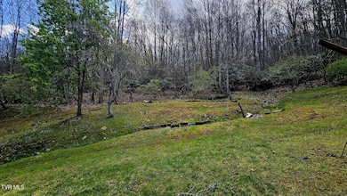 4183 Stone Mountain Rd, Coeburn, VA 24230 - photo 5