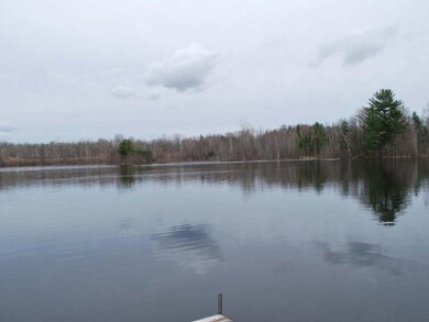 W10378 Borth Lake Rd, Deerbrook, WI 54424 - photo 3