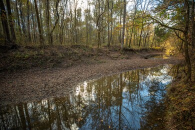 0 Mississippi 389, Pheba, MS 39755 - photo 7