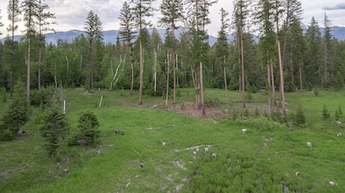30632 Carney Creek Rd, Big Fork, MT 59911 - photo 6