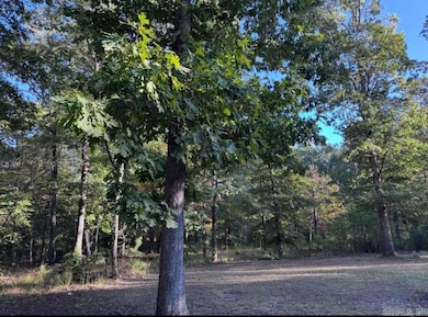 14200 Cherylwood Rd, Alexander, AR 72002 - photo 3