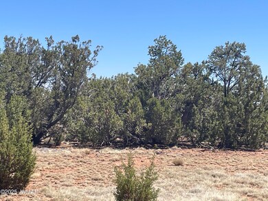 108 Colorado Ave, Concho, AZ 85924 - photo 5