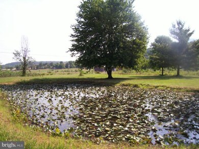 223 J C Markwood Rd, Old Fields, WV 26845 - photo 5