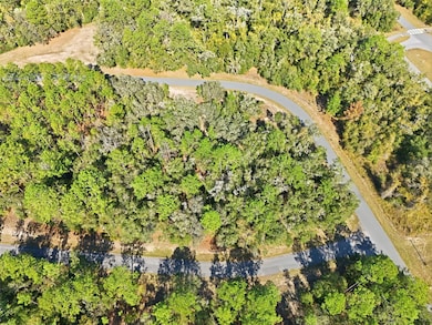 2237 W Striblin Dr, Dunnellon, FL 34434 - photo 2