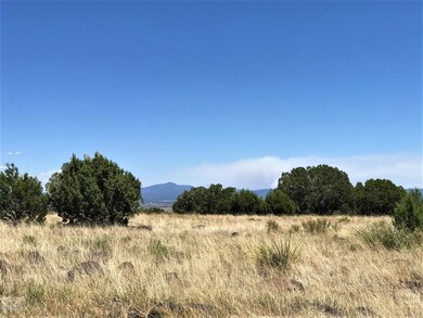 0 Picacho Butte unit 1032224, Ash Fork, AZ 86320 - photo 5